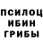 Псилоцибиновые грибы Magic Shrooms Max Parshin