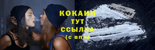 дурь Заводоуковск