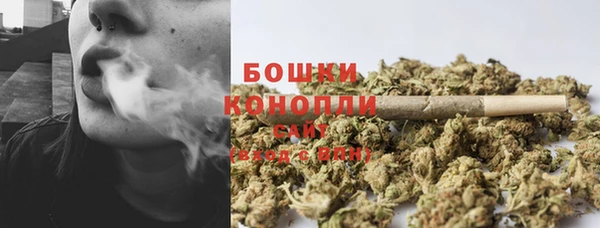 дурь Заводоуковск