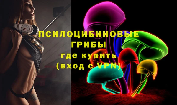 СК Зерноград