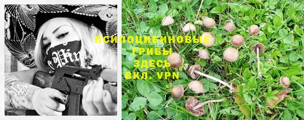 дурь Заводоуковск