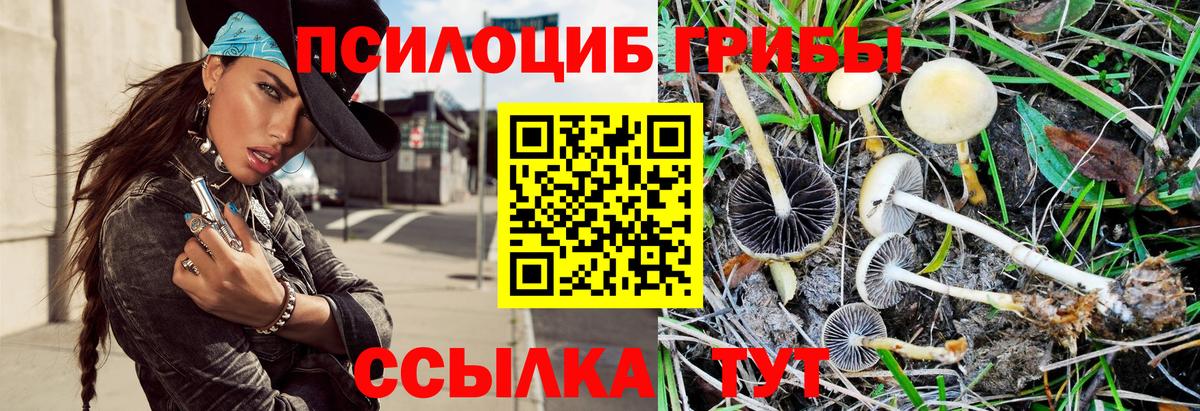 Псилоцибиновые грибы Psilocybine cubensis Дюртюли